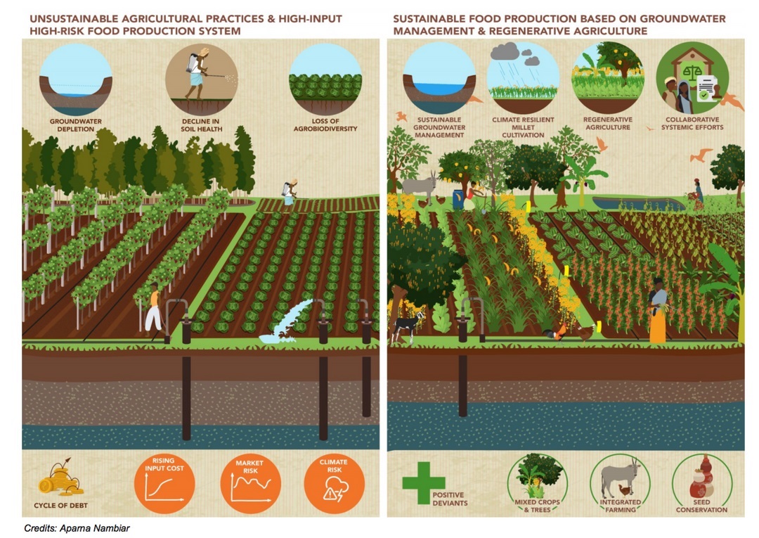 What does “sustainable” food production around Bangalore entail?