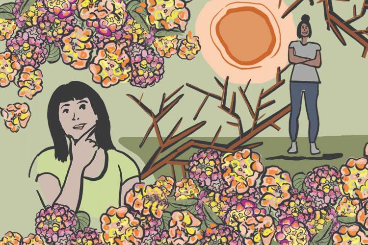 The NewsMinute: The beautiful, dangerously invasive weed Lantana