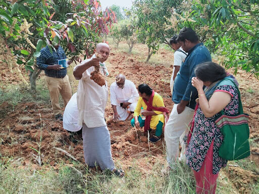 How Healthy Soil Can Improve Farmer Income