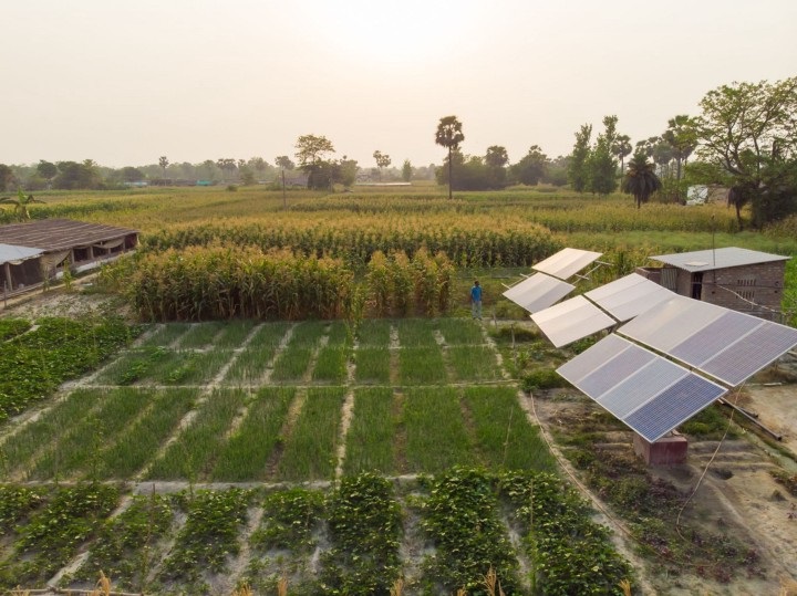 Pump Solarisation